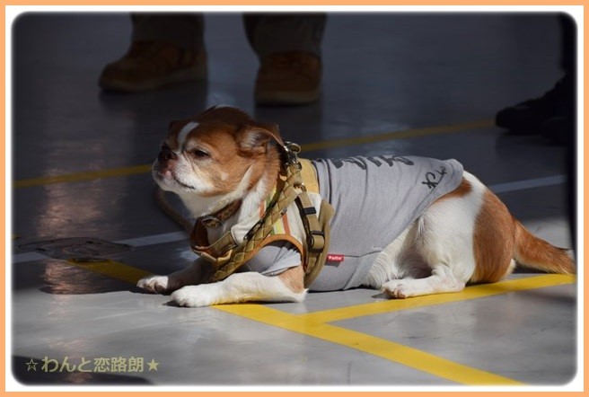 f:id:yasukazu01:20141025202625j:image