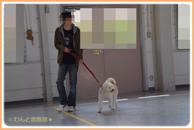 f:id:yasukazu01:20141025203057j:image