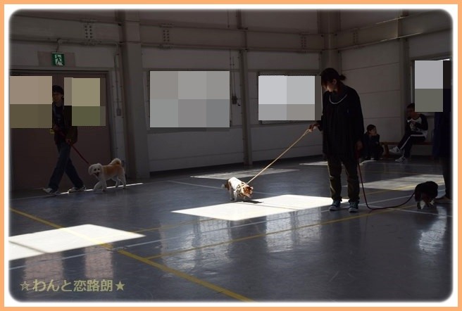f:id:yasukazu01:20141025203135j:image