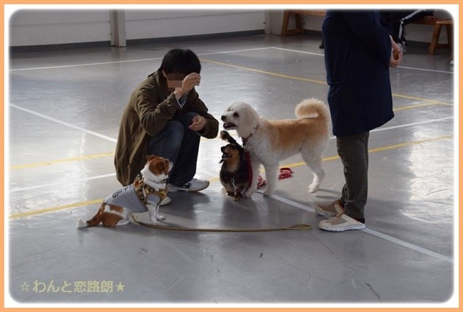 f:id:yasukazu01:20141025203533j:image