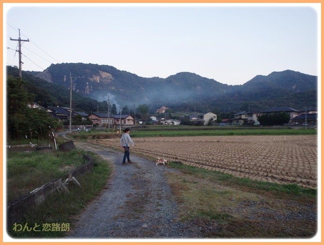 f:id:yasukazu01:20141026213745j:image f:id:yasukazu01:20141026213745j:image
