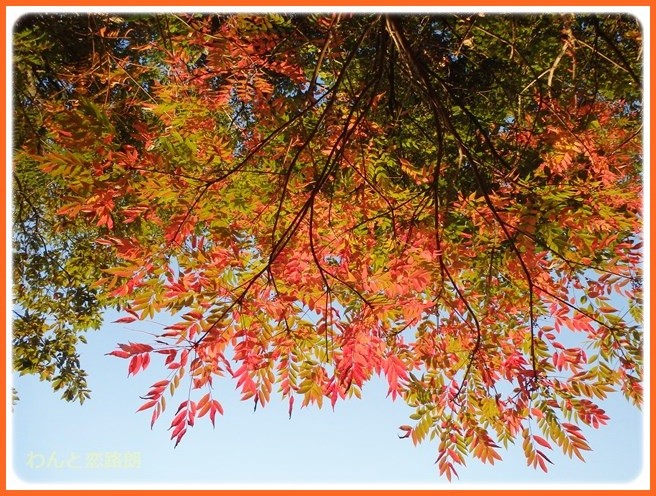 f:id:yasukazu01:20141027210118j:image