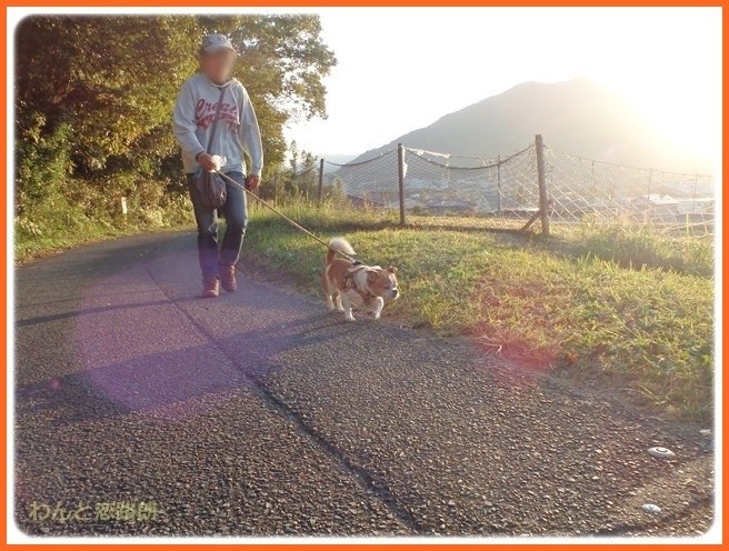 f:id:yasukazu01:20141027210433j:image