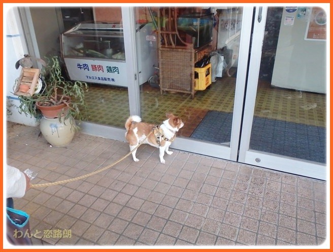 f:id:yasukazu01:20141027210852j:image
