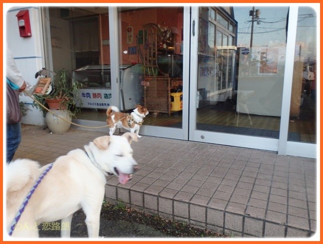 f:id:yasukazu01:20141027211004j:image