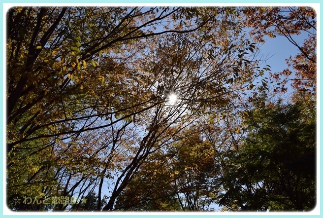 f:id:yasukazu01:20141028195712j:image