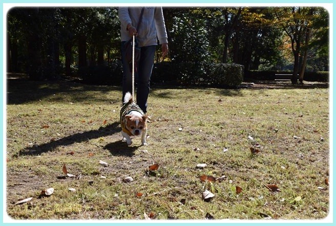 f:id:yasukazu01:20141028200349j:image