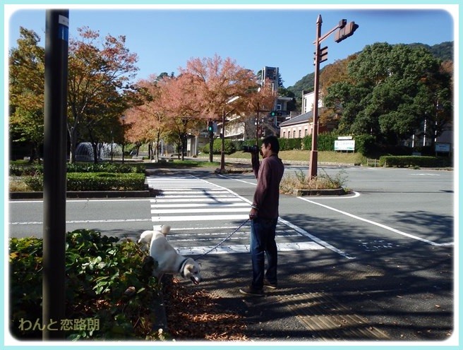 f:id:yasukazu01:20141028202115j:image