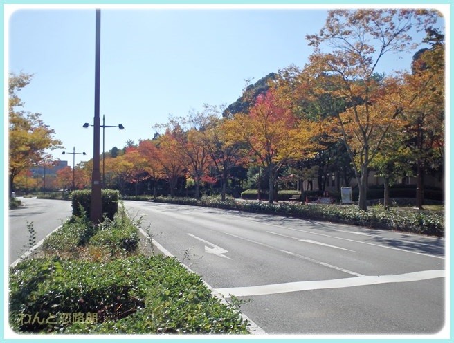 f:id:yasukazu01:20141028202236j:image