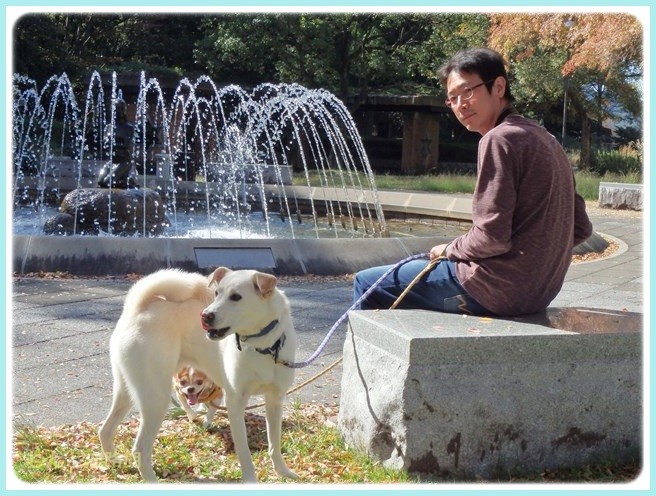 f:id:yasukazu01:20141029194013j:image