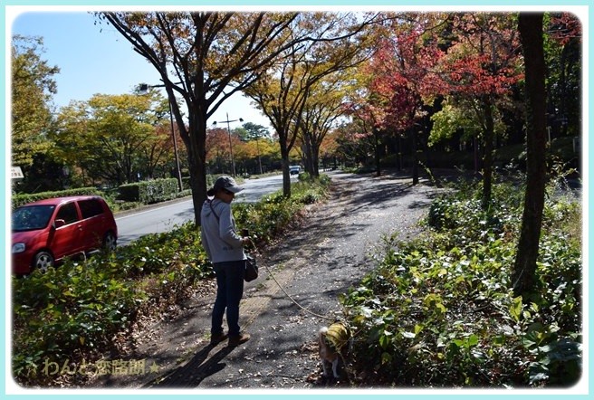 f:id:yasukazu01:20141029200324j:image