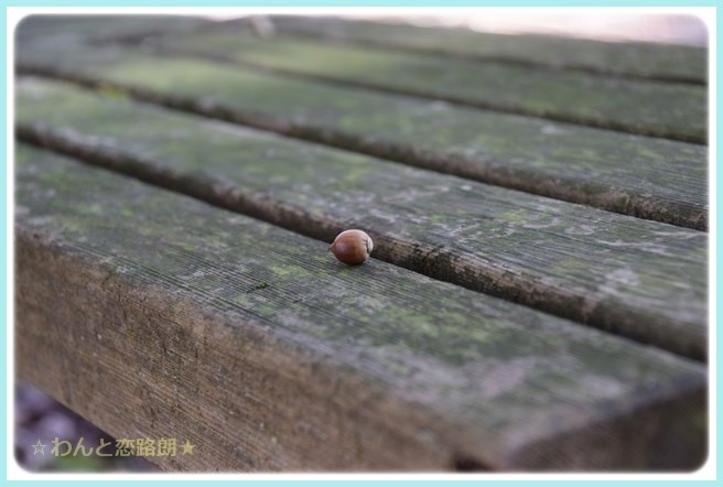 f:id:yasukazu01:20141029200821j:image