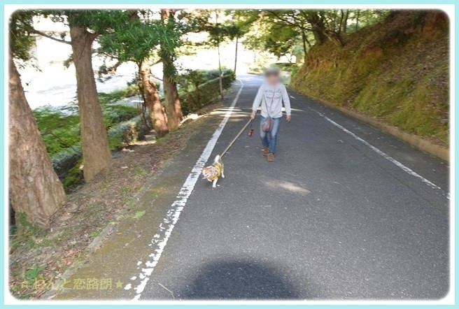 f:id:yasukazu01:20141029202021j:image