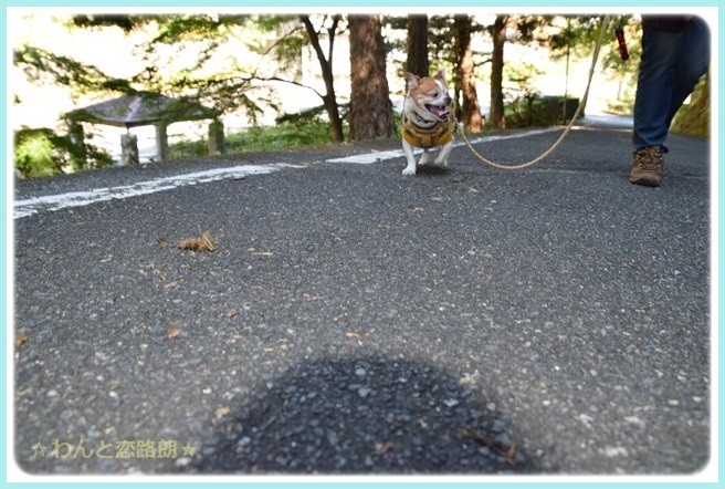 f:id:yasukazu01:20141029202117j:image