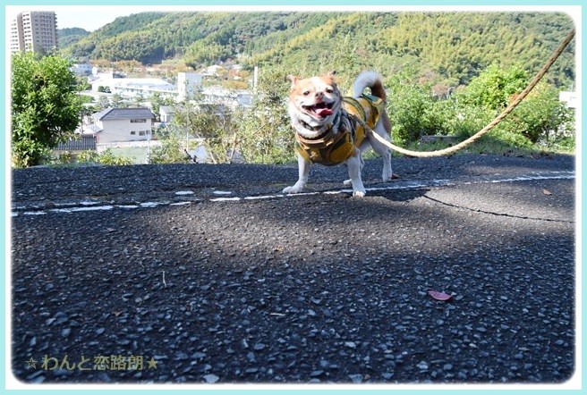 f:id:yasukazu01:20141029202145j:image