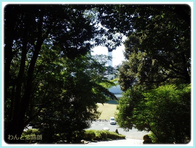 f:id:yasukazu01:20141029202851j:image