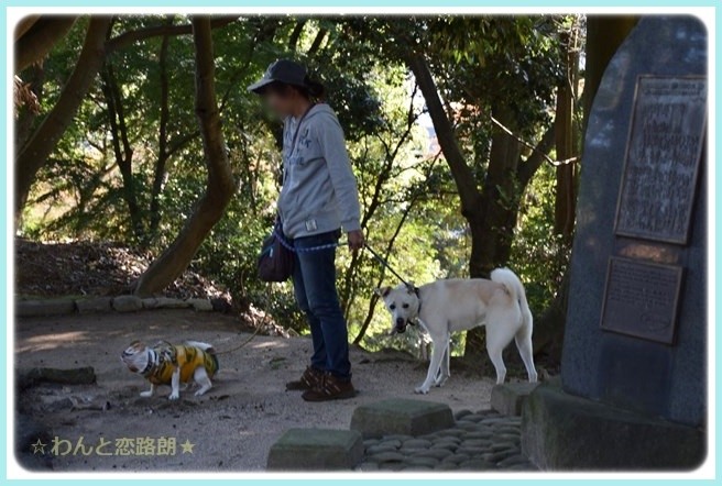 f:id:yasukazu01:20141029203247j:image