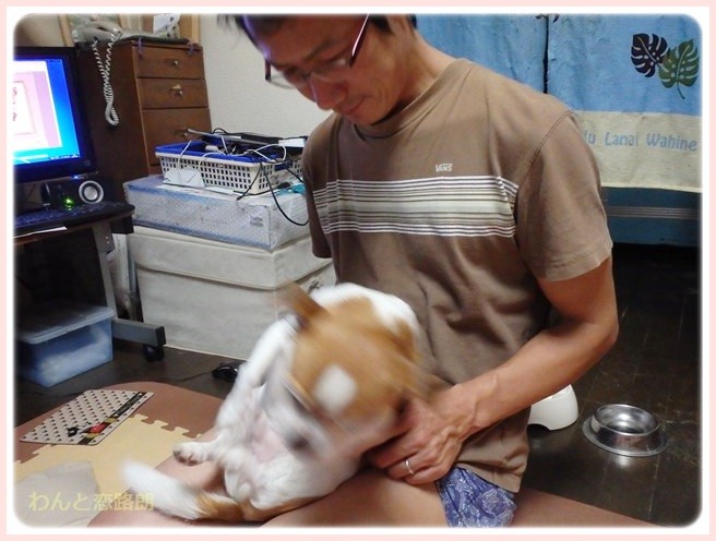 f:id:yasukazu01:20141103205254j:image