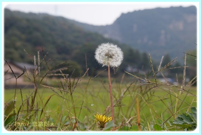 f:id:yasukazu01:20141108201125j:image