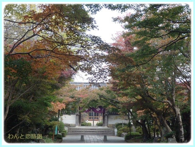 f:id:yasukazu01:20141108201816j:image