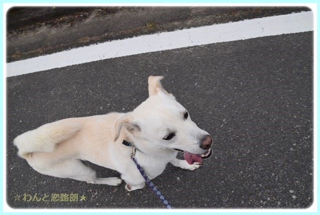 f:id:yasukazu01:20141108202232j:image