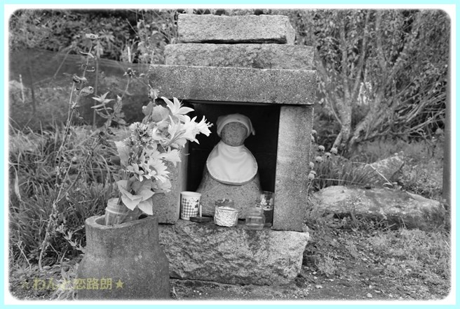 f:id:yasukazu01:20141108202421j:image