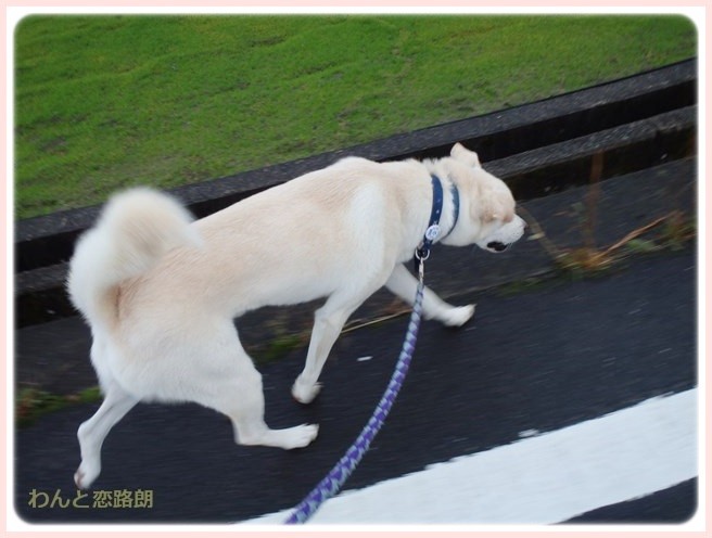 f:id:yasukazu01:20141110221429j:image