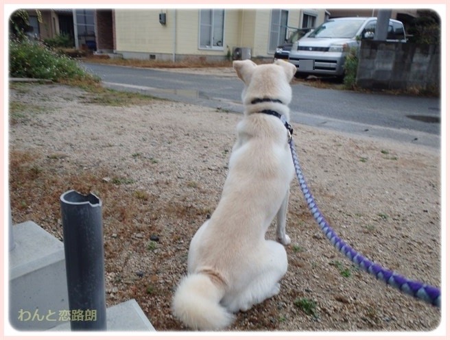 f:id:yasukazu01:20141110222338j:image