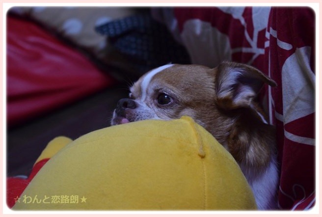 f:id:yasukazu01:20141110223025j:image