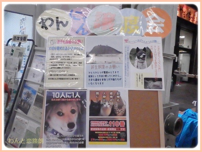 f:id:yasukazu01:20141111200333j:image