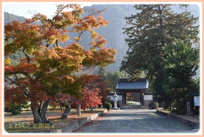 f:id:yasukazu01:20141111203032j:image