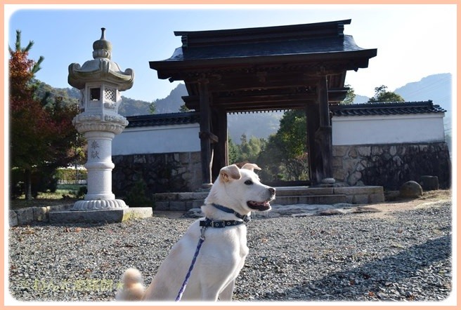 f:id:yasukazu01:20141111203235j:image