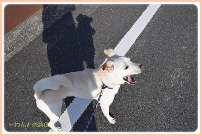 f:id:yasukazu01:20141111203806j:image