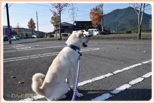 f:id:yasukazu01:20141111204550j:image