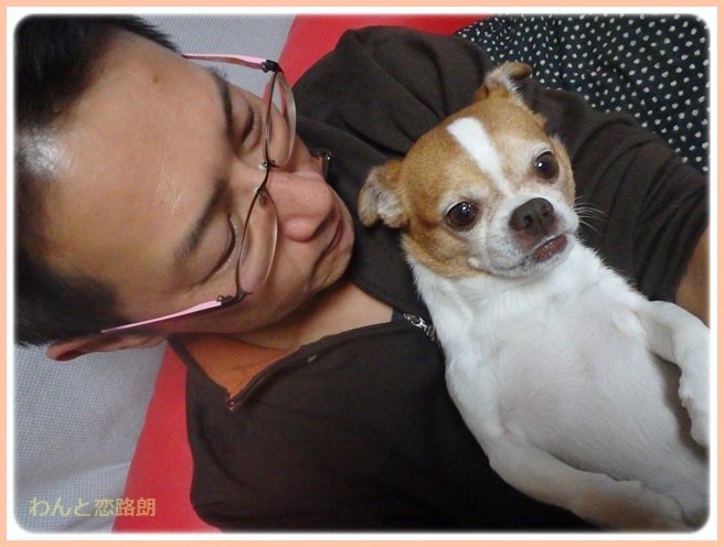 f:id:yasukazu01:20141111205015j:image