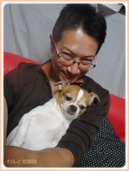 f:id:yasukazu01:20141111205225j:image