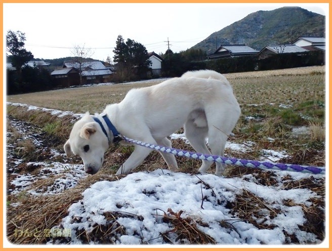 f:id:yasukazu01:20141222204657j:image