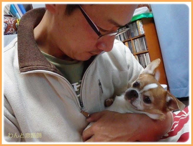 f:id:yasukazu01:20141222204834j:image