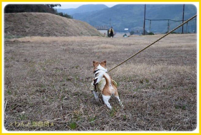 f:id:yasukazu01:20150105200518j:image