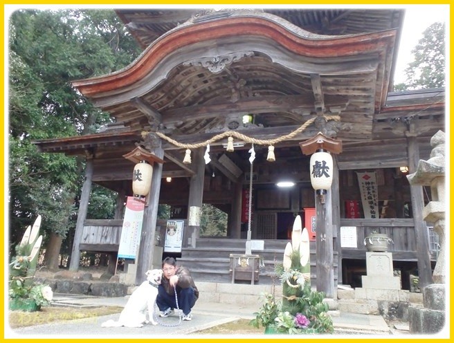 f:id:yasukazu01:20150106203209j:image f:id:yasukazu01:20150106203209j:image