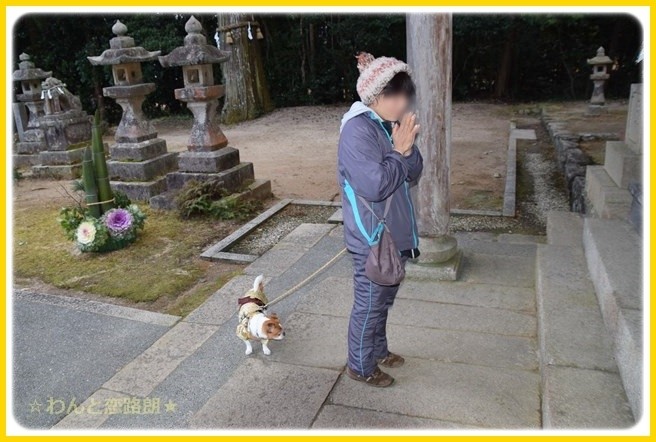 f:id:yasukazu01:20150106203402j:image f:id:yasukazu01:20150106203402j:image