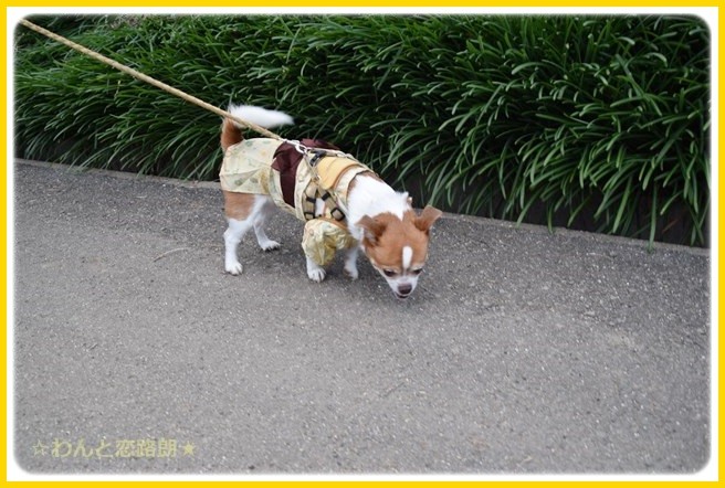 f:id:yasukazu01:20150106204249j:image f:id:yasukazu01:20150106204249j:image
