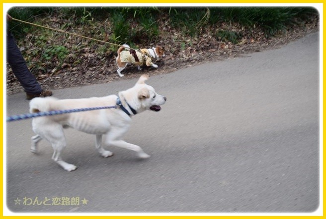 f:id:yasukazu01:20150106204412j:image f:id:yasukazu01:20150106204412j:image