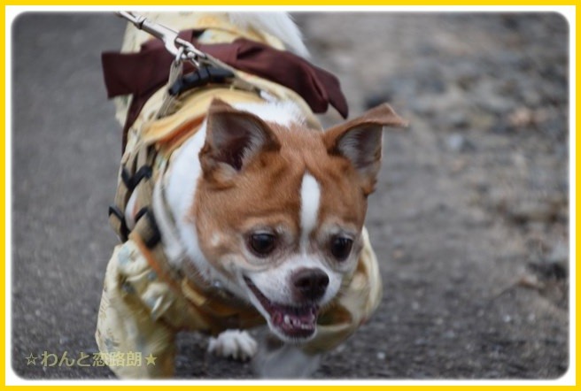 f:id:yasukazu01:20150106204742j:image f:id:yasukazu01:20150106204742j:image