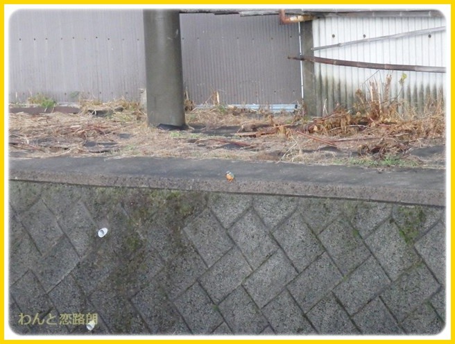 f:id:yasukazu01:20150111204337j:image f:id:yasukazu01:20150111204337j:image