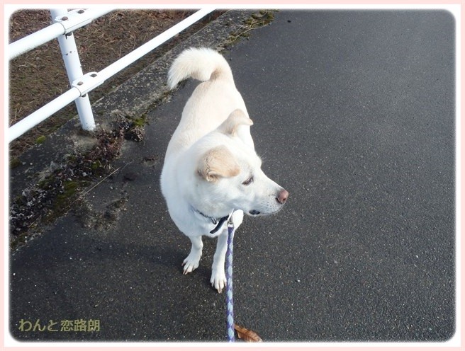 f:id:yasukazu01:20150112201158j:image