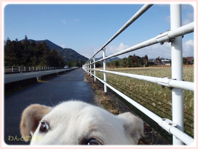 f:id:yasukazu01:20150112201253j:image