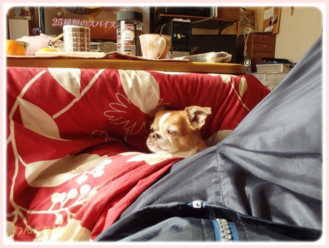 f:id:yasukazu01:20150112201821j:image