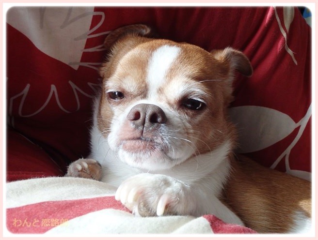 f:id:yasukazu01:20150112202037j:image