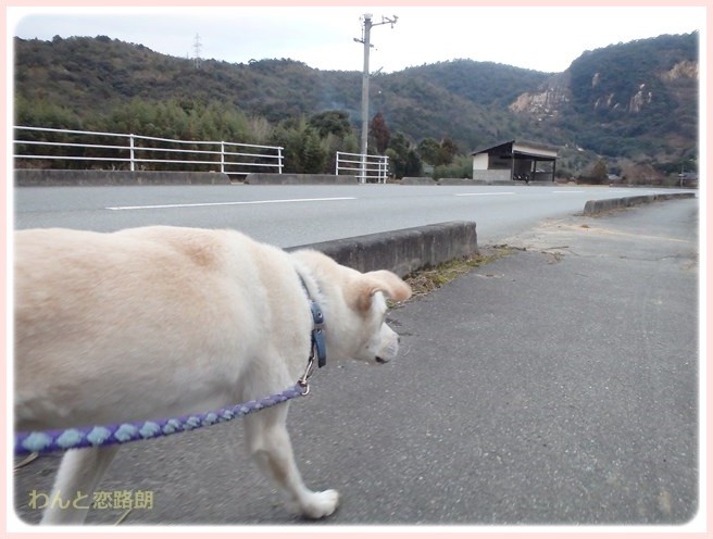 f:id:yasukazu01:20150112202309j:image